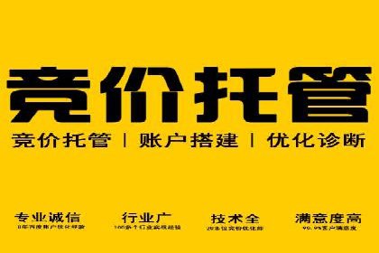 SEM公司成功案例解读：如何打造高效的广告团队